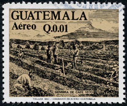 Guatemala Huehuetenango Huixoc RFA - Subscription